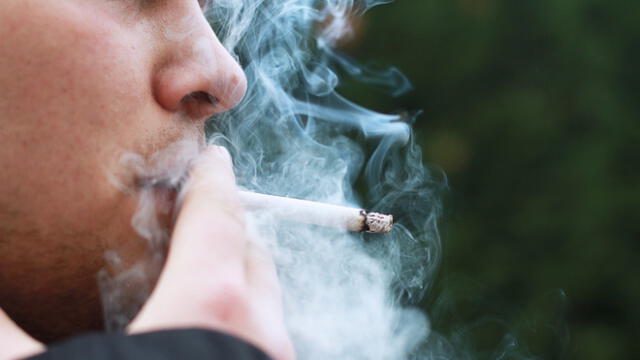 El porcentaje es alto: tabaquismo aumenta el riesgo de padecer cáncer al estómago