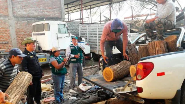 Sullana: allanan centro de transformación que usaba madera de procedencia ilegal