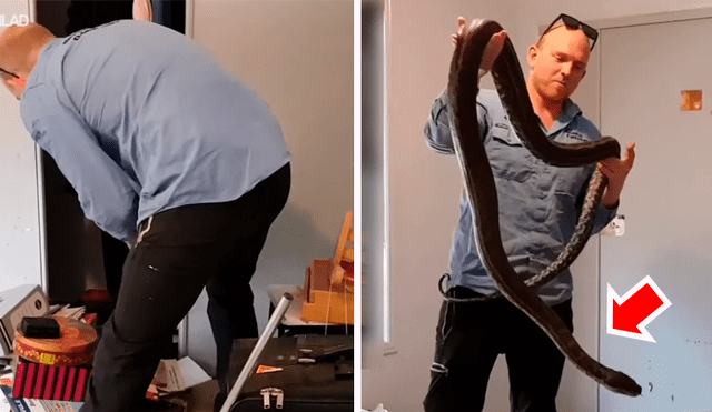 Video se viralizó en Facebook. Un hombre quedó asustado al toparse ‘cara a cara’ con un feroz reptil que salió del interior de su armario para atacarlo por sorpresa.