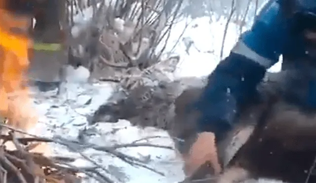 Facebook: Rescatistas logran salvar la vida de un venado que cayó a un lago congelado [VIDEO]
