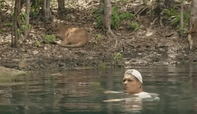 Desliza hacia la izquierda para ver el encuentro de un turista con un feroz animal, escena viral de YouTube.