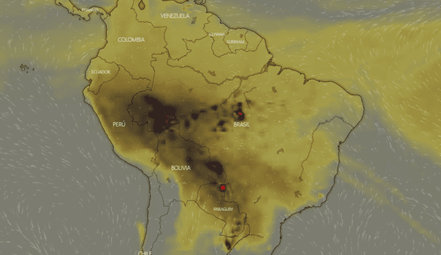 Incendio en Amazonas.