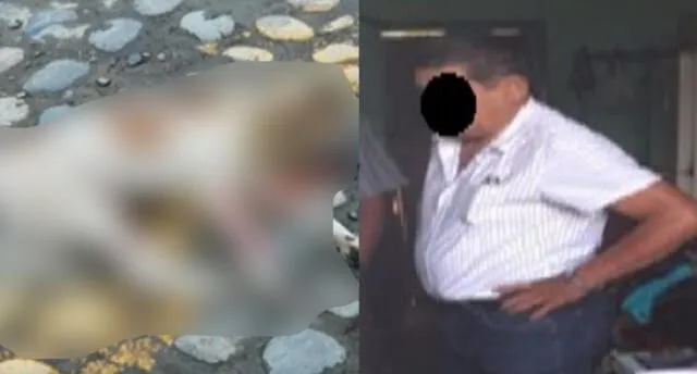 Cusco: Hombre que mató a un perro disparándole con escopeta será investigado por maltrato animal 
