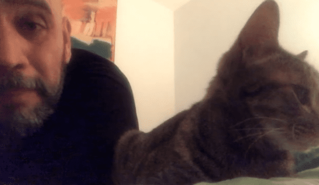 En Facebook, un señor estaba cansado que su gato despierte temprano y le hizo una inesperada súplica.