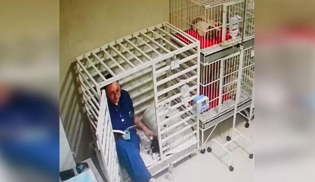 Desliza las imágenes para observar el cariñoso gesto que tiene una veterinaria con los animales que llegan a su trabajo. Foto: Captura de TikTok