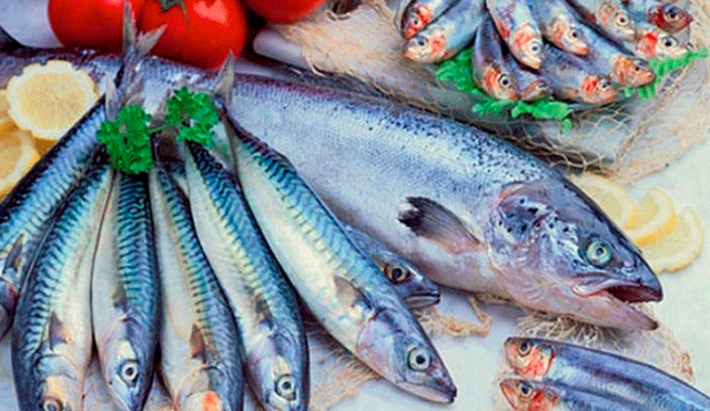 ¿El pescado congelado es igual de nutritivo que el fresco?