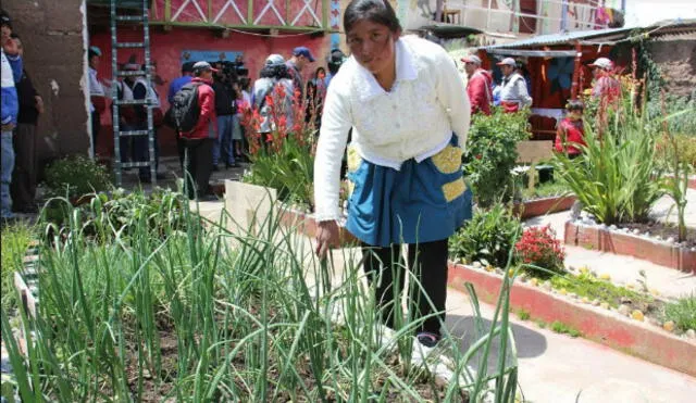 Haku Wiñay: Seis mil hogares usan la tecnología productiva en Huancavelica