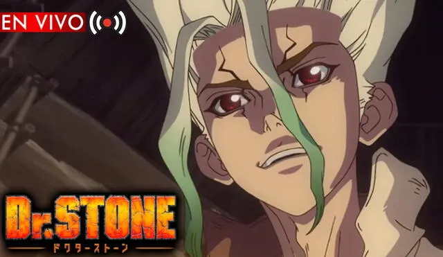 Esta es la hora exacta para el estreno de Dr. STONE NEW WORLD