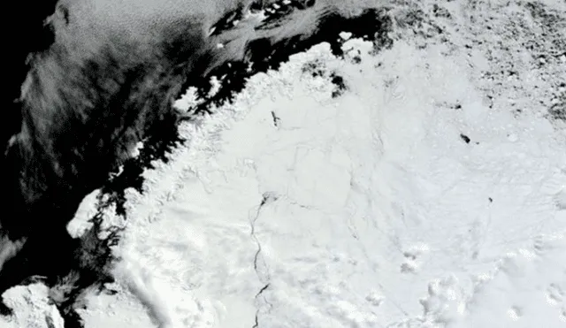 Twitter: Increíble hallazgo en la Antártida ha dejado perpleja a la comunidad científica [FOTOS]