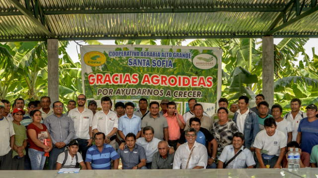 Piura: Minagri promueve exportación de banano orgánico