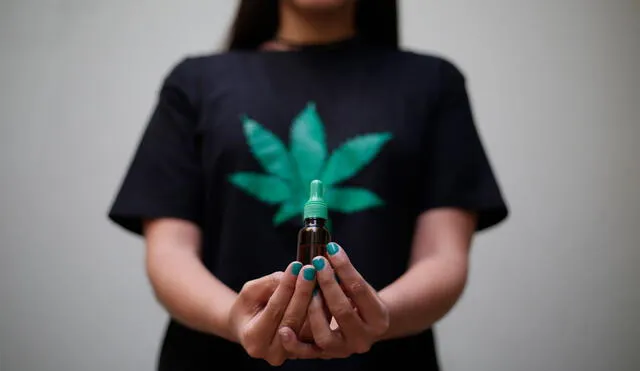 Esta iniciativa legislativa propone permitir el autocultivo y cultivo asociativo de cannabis. Foto: La República
