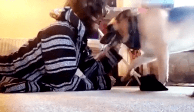 Video es viral en YouTube. El hombre simuló estar en una situación de peligro para ver lo que hacía su perro y terminó sorprendido por lo que hizo el can. Fotocaptura: YouTube