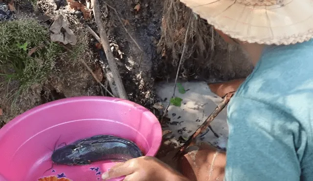 YouTube viral: 'Misteriosas criaturas' emergen de hoyo que descubrió joven [VIDEO]