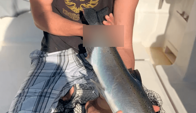 Pescador captura una trucha y hace terrible descubrimiento en el animal [VIDEO]