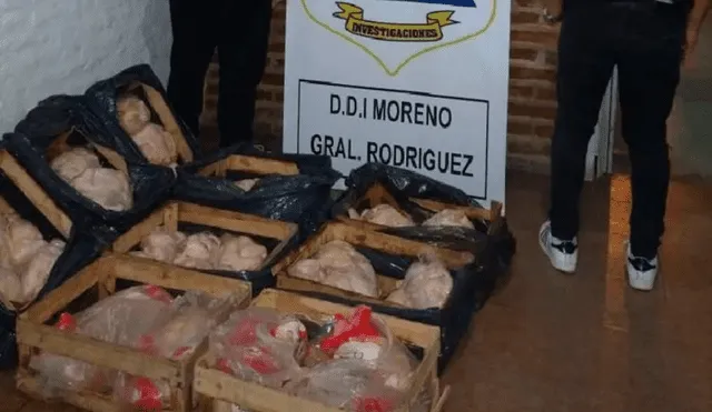 Policías recuperan 100 pollos congelados que fueron robados por una banda criminal. Foto: Crónica