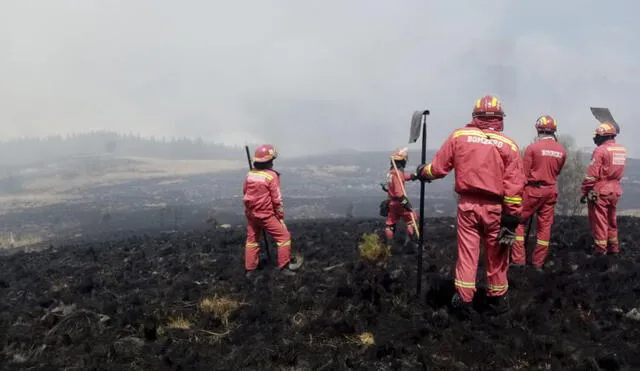 Bomberos Cajamarca incendio forestal Porcón