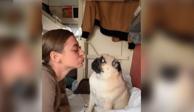 Video es viral en Instagram. La joven intentó ser cariñosa con su perro pug y se llevó una tremenda sorpresa cuando su mascota reaccionó de una forma muy curiosa. Foto: Captura.
