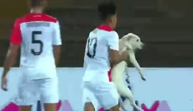  Perú vs Chile: Un perro se metió al campo protagonizando un curioso momento [VIDEO]