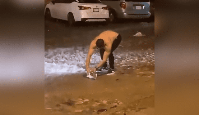 Desliza las imágenes para conocer el valiente gesto de un joven al ayudar a una zarigüeya que terminó tirada en la calle. Fotocaptura: Facebook.
