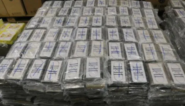 Alemania: confiscan 4,5 toneladas de cocaína proveniente de país sudamericano