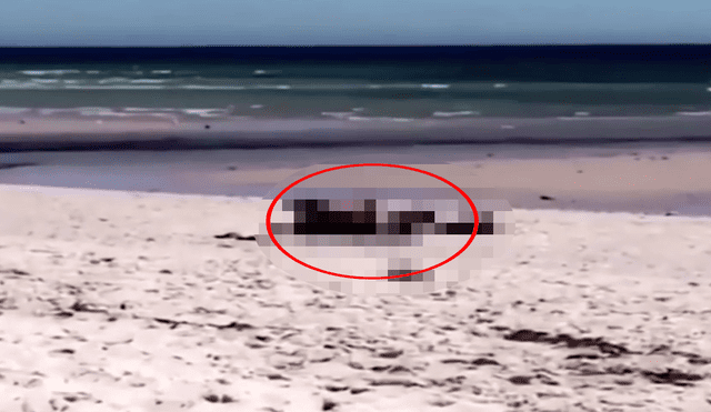 En YouTube, pareja es captada teniendo sexo en plena playa