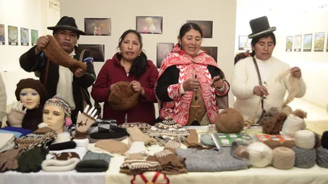 Exhibirán novedosas prendes hechas de fibra de alpaca en Puno