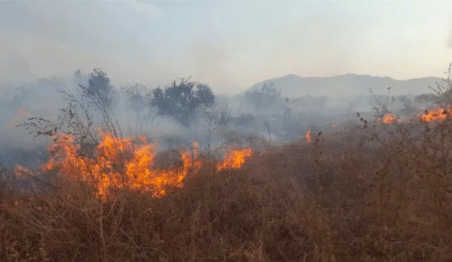 Chiclayo: reportan incendio forestal en Reserva Ecológica de Chaparri 