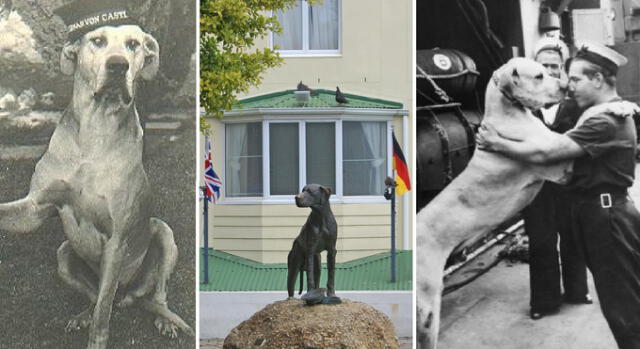 Saquean estatua de bronce en honor a Just Nuisance, el perro héroe de la Segunda Guerra Mundial 