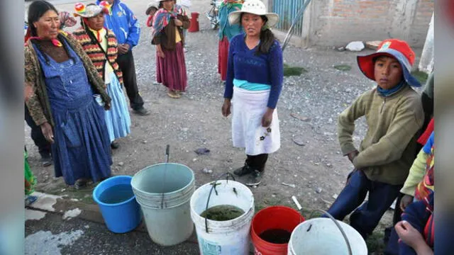 Puno: Población de Coata y Caracoto consumen agua con coliformes fecales