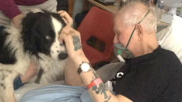 Facebook: enfermeras ayudan a paciente a despedirse de su perro poco antes de morir