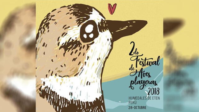 Lambayeque: organizan festival de aves playeras 
