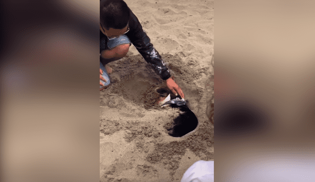 Desliza las imágenes hacia la izquierda para conocer el susto que se llevaron unos jóvenes al descubrir a un perro en la arena.
