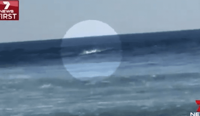 YouTube: Captan ataque de tiburón a surfista en Australia [VIDEO] 