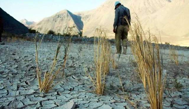 Sequía afecta a agricultores de la sierra sur. Foto: La República.