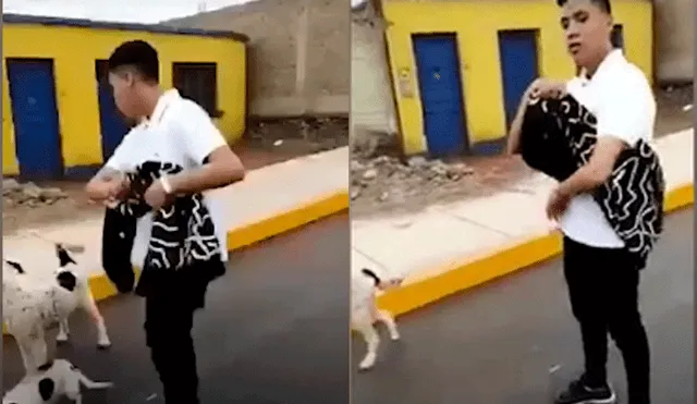 Maltrato animal: joven retira mensaje en el que pide disculpas por golpear a mascotas [VIDEO]