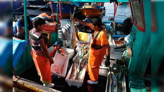 Pescadores artesanales fueron afectados por la COVID-19.