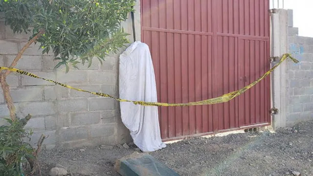 Vecinos encontraron la terrible escena en el distrito de Cerro Colorado.