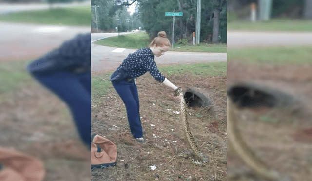 Facebook: Una valiente mujer atrapó con sus manos a una anaconda de tres metros[VIDEO]