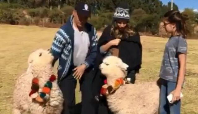 Sergio Mayer recibió escupitajo de alpaca en Cusco