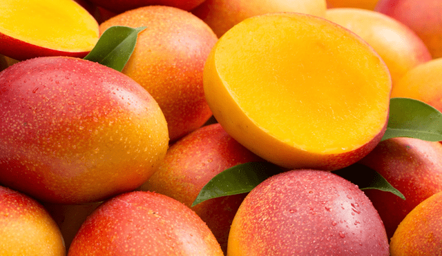 Exportación de mango fresco a Corea del Sur superó los 12 millones de dólares