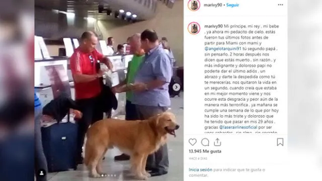 ‘Hachi’, el golden retriever que murió en un vuelo y aerolínea no permitió que familiares lo vieran [VIDEO]