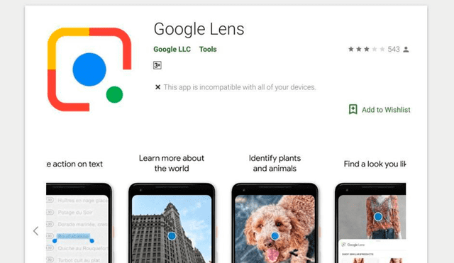 Google Lens es la aplicación que te permite realizar búsquedas de forma más sencilla y dinámica.