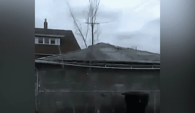 Facebook viral: gran terror generó una extraña criatura que se deslizó por el techo de una casa [VIDEO] 