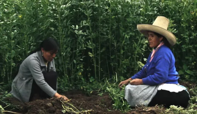 Netflix: El documental peruano ‘Hija de la laguna’ se estrena en el servicio 