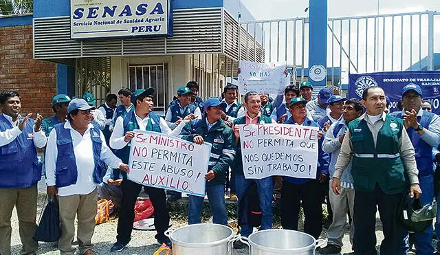 Trabajadores de Senasa exigen eliminación del CAS y postulación al Servicio Civil 