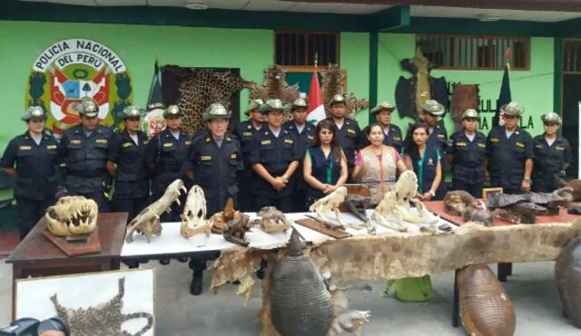Incautan especies de fauna silvestre en 4 restaurantes de Iquitos