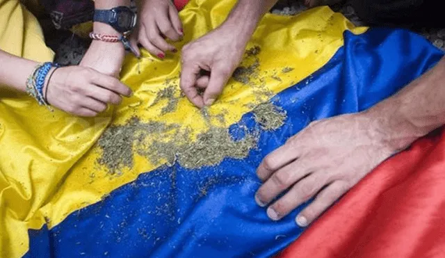 Colombia quiere ser el principal proveedor mundial de marihuana legal