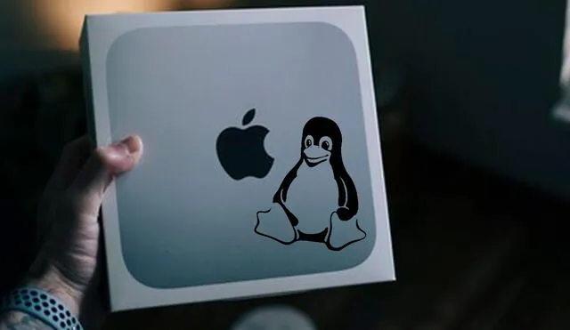 Un desarrollador de Linux ha abierto un proyecto para hacer un port nativo del sistema operativo en la Mac con chip M1. Foto: Applesfera