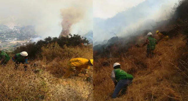 Arequipa: Luego de dos días controlan incendio forestal en Cotahuasi