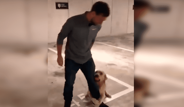 En Facebook, un perro deseaba jugar con su dueño y lo sujetó de la pierna para que no se vaya a trabajar.